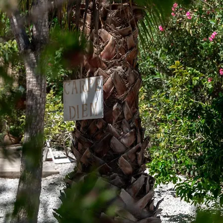 Villa Ibiza Style Athena